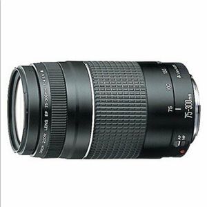 Canon Zoom Lens EF 75-300 mm, AF-MF